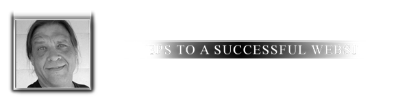 Les Warren - Steps to a Successful Website
