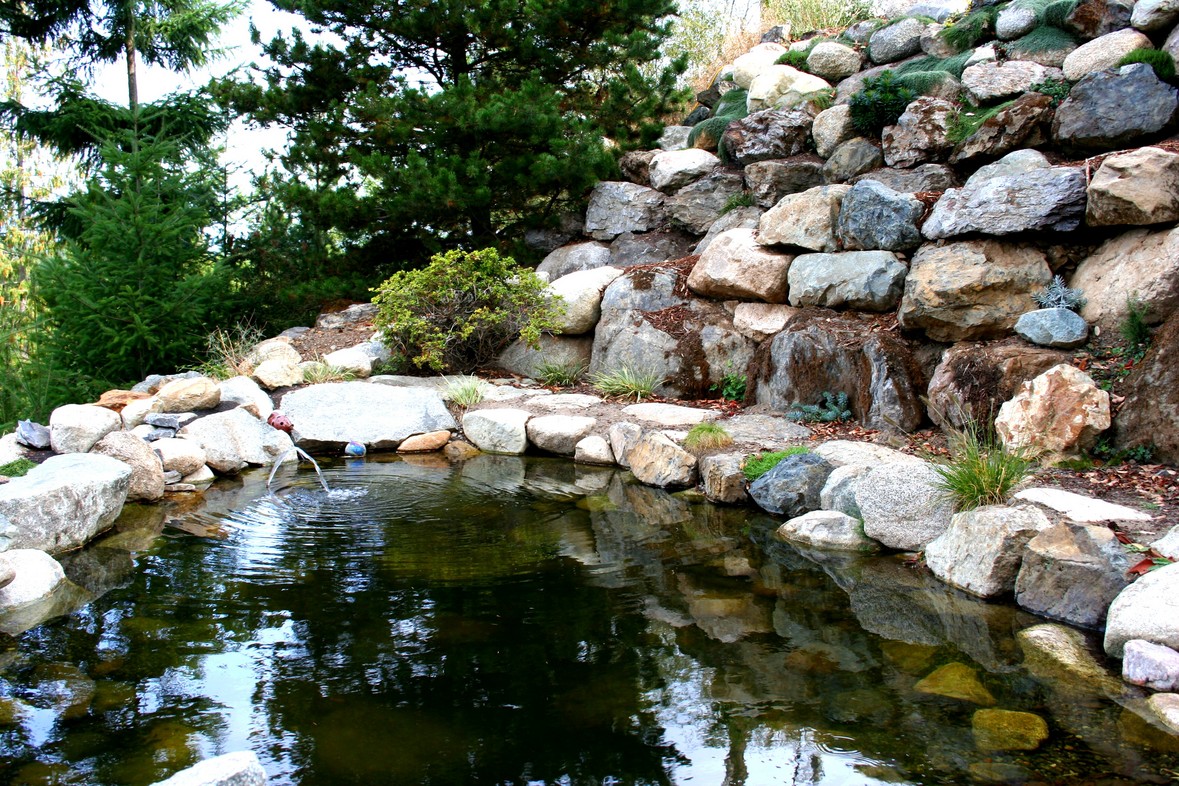 Pond and Rockery