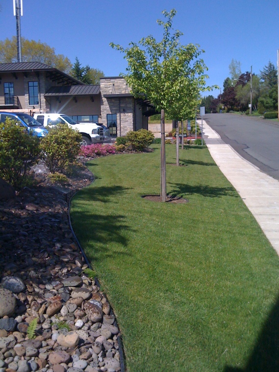 Landscape Maintenance Salem Oregon