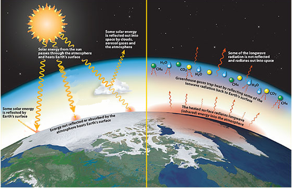 global warming