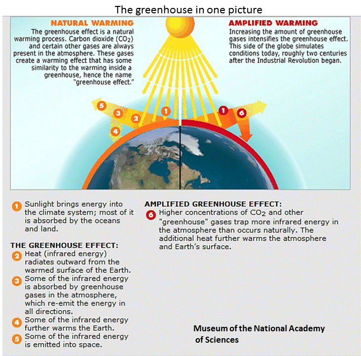 Greenhouse Effect