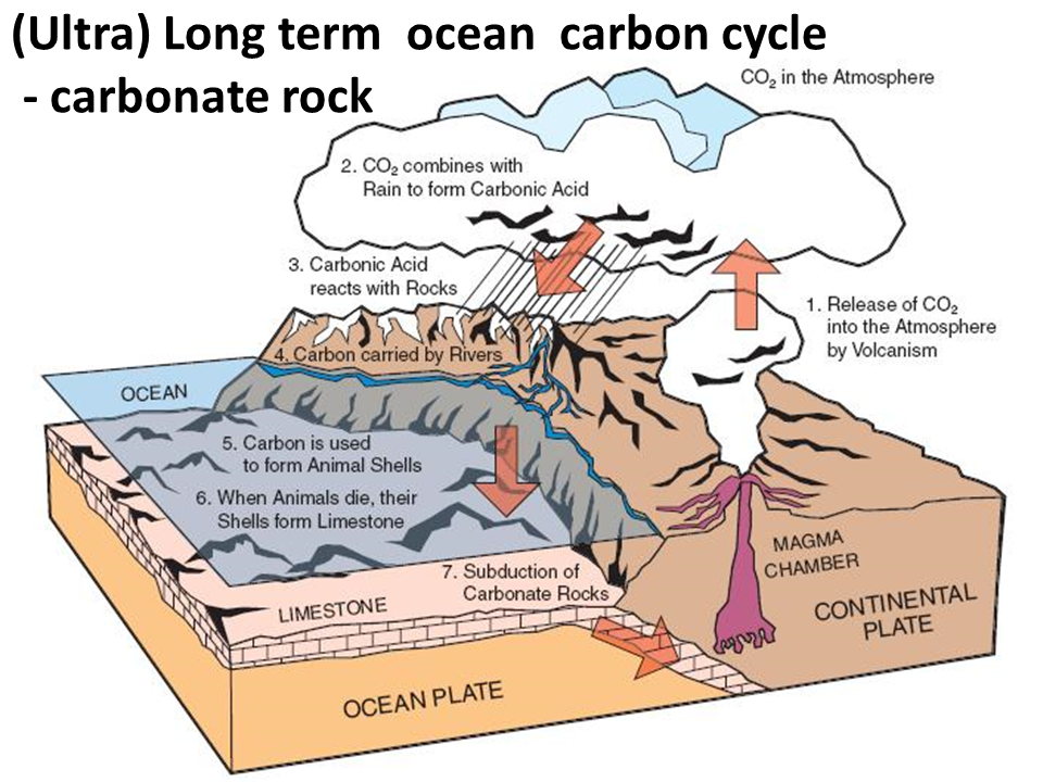 carbon-cycle