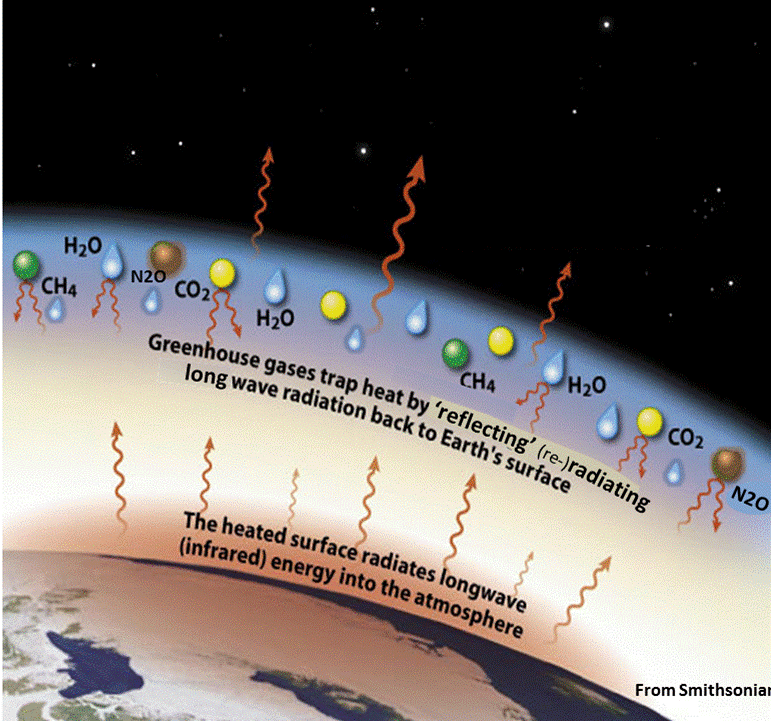 Greenhouse Effect