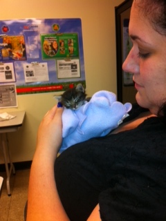Anas Angels Jacksonville Florida Pet Rescue Adoption