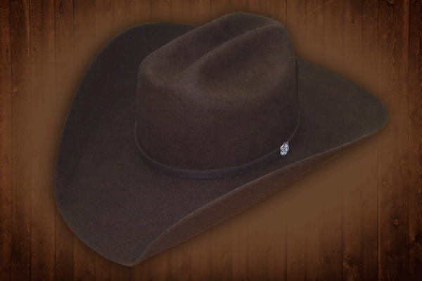 Reining Show Reiner Cowboy Hat