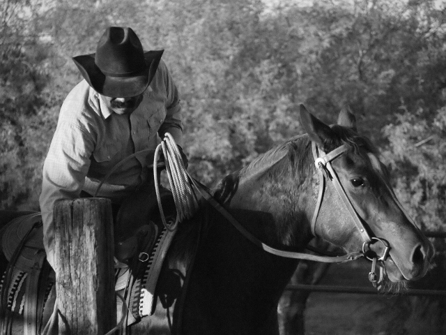 Hally's Custom Working Ranch Cowboy Hat