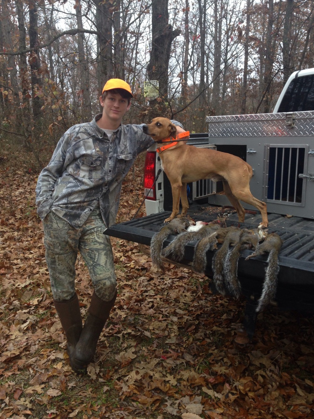 Squirrel dog 2025 training pen