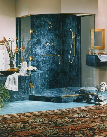 Shower Door Enclosure