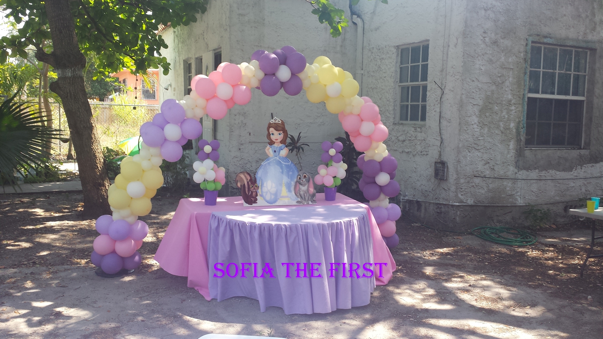 sofia the first decoration