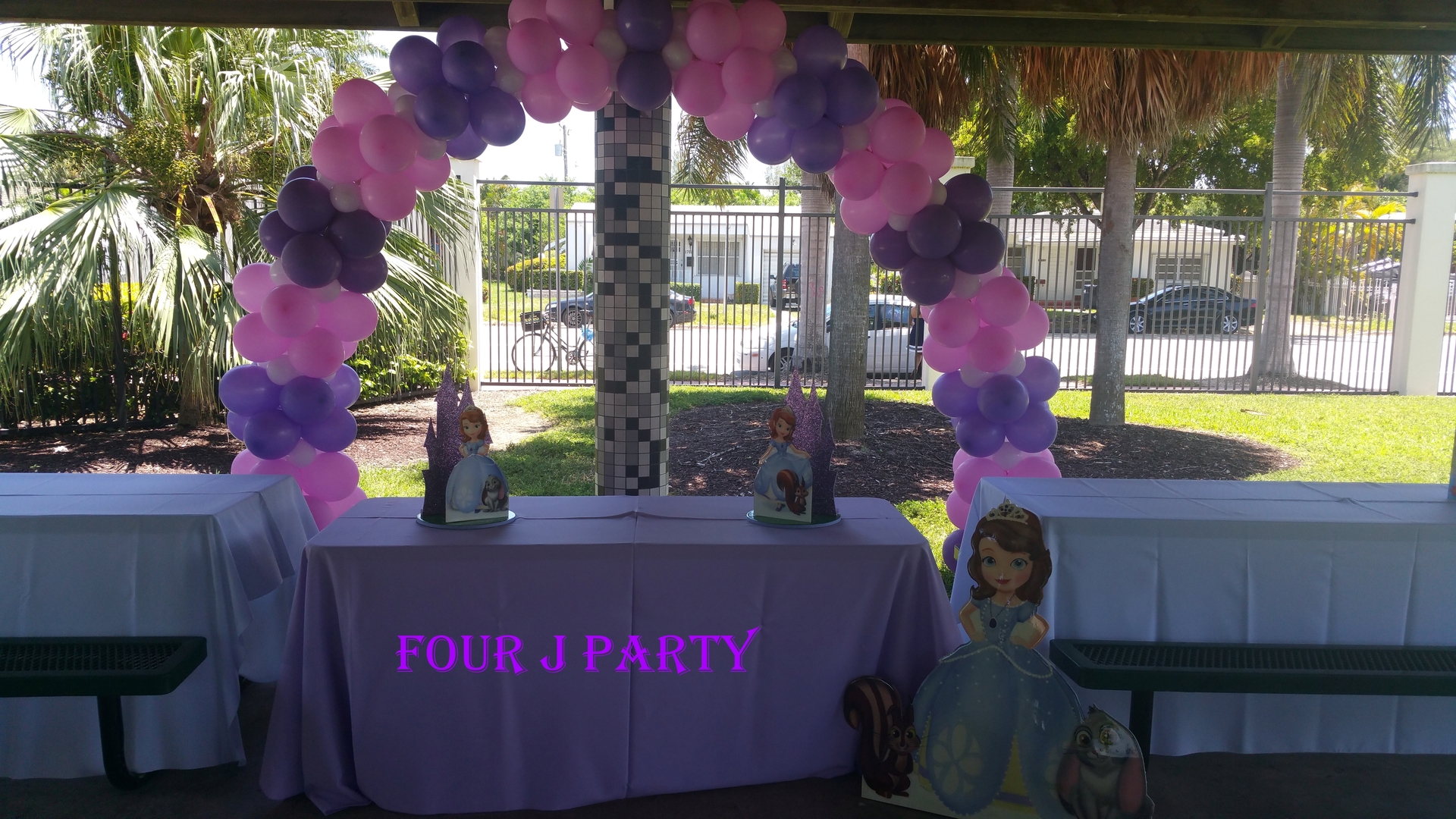Party Rental Sofia The First Decoration