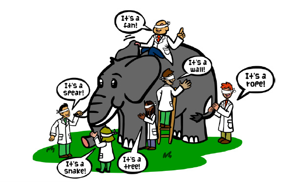the-blind-elephant-baseline-assessments-for-organizational-growth