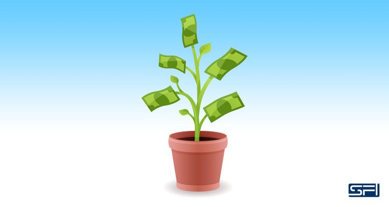 SFI.. OUR Very Own Money Tree..