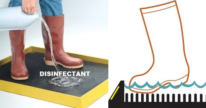 Boot Dip Mat Malaysia