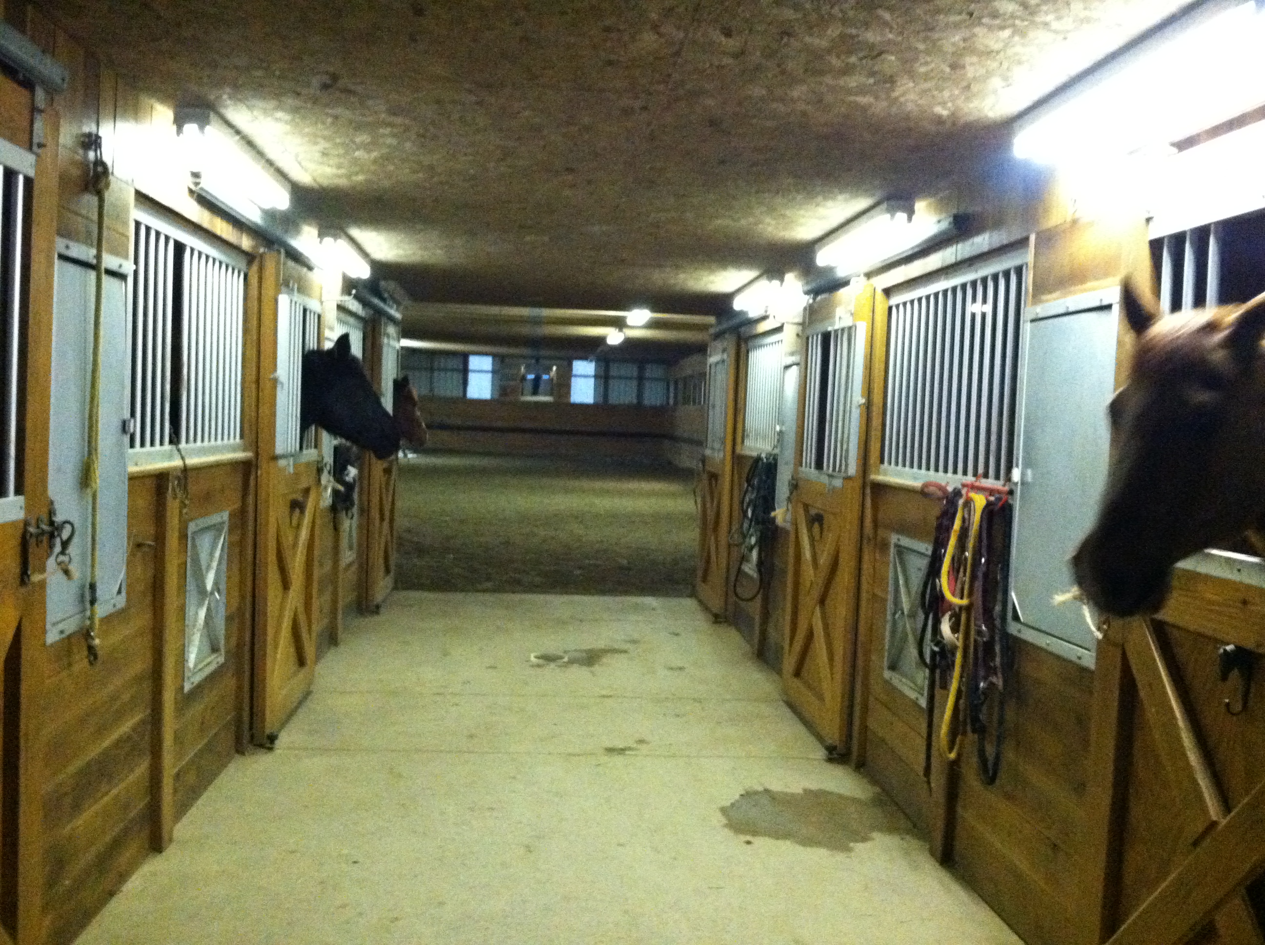 Whispering Creek Stables western New York horse boarding