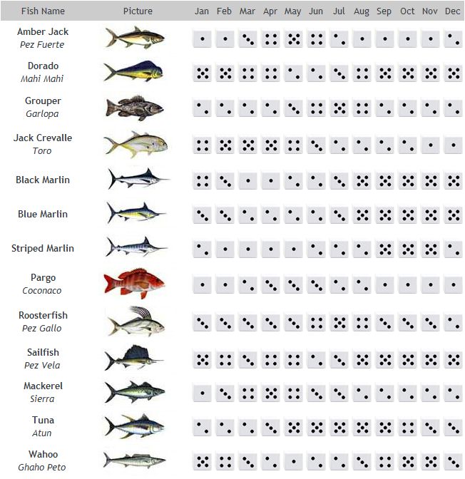 Puerto Vallarta Fishing Season Chart