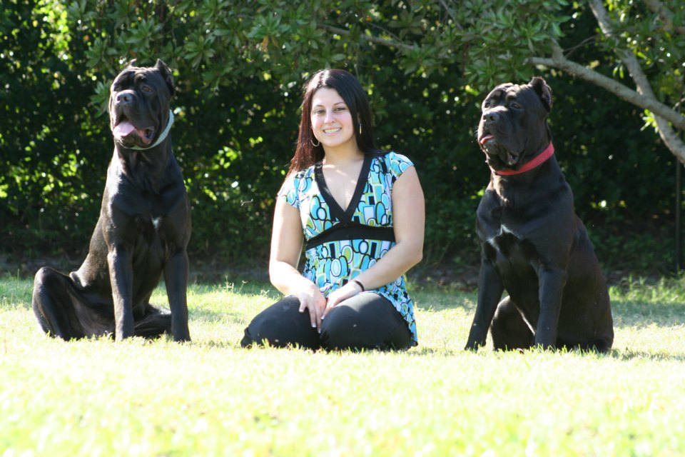 Gulf Coast Cane Corso