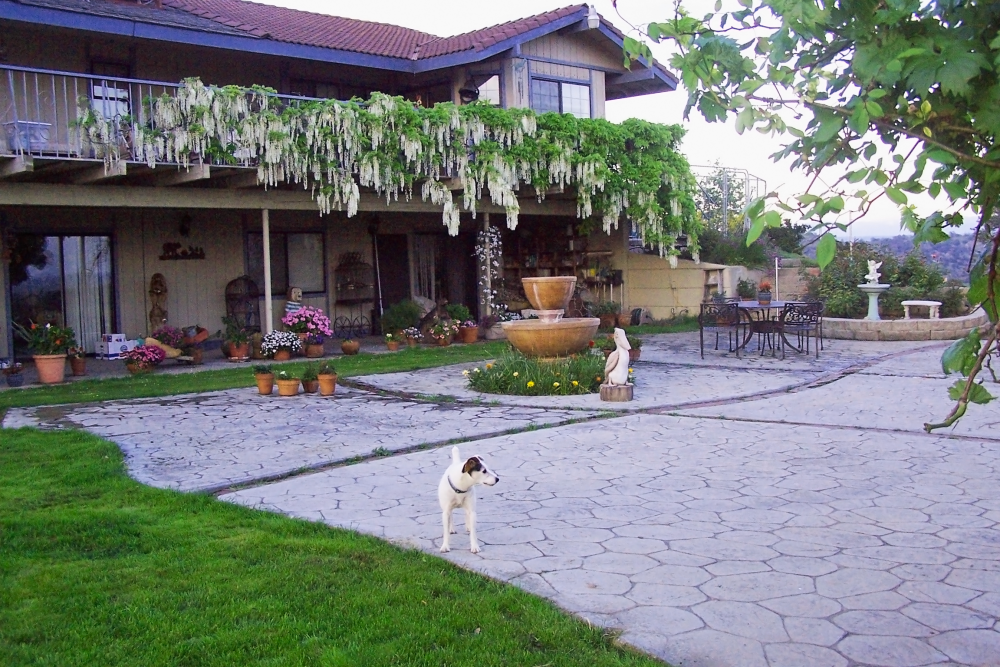 The Spanish Cruce Horse Ranch