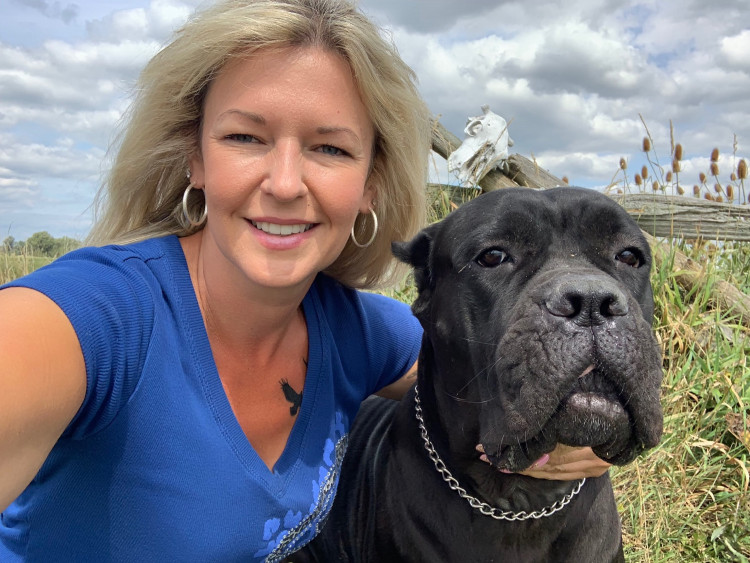 Maximilian Cane Corso Breeder Of The Cane Corso In Ontario