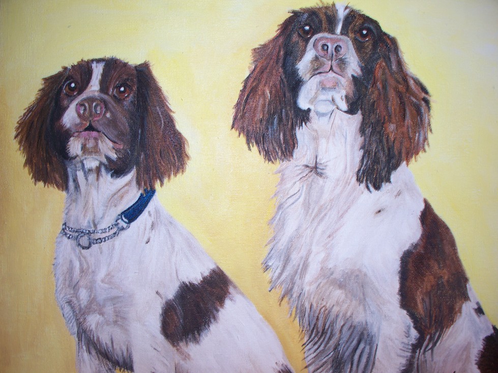 Spaniels