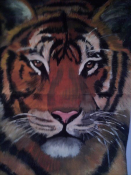 Tiger 2008