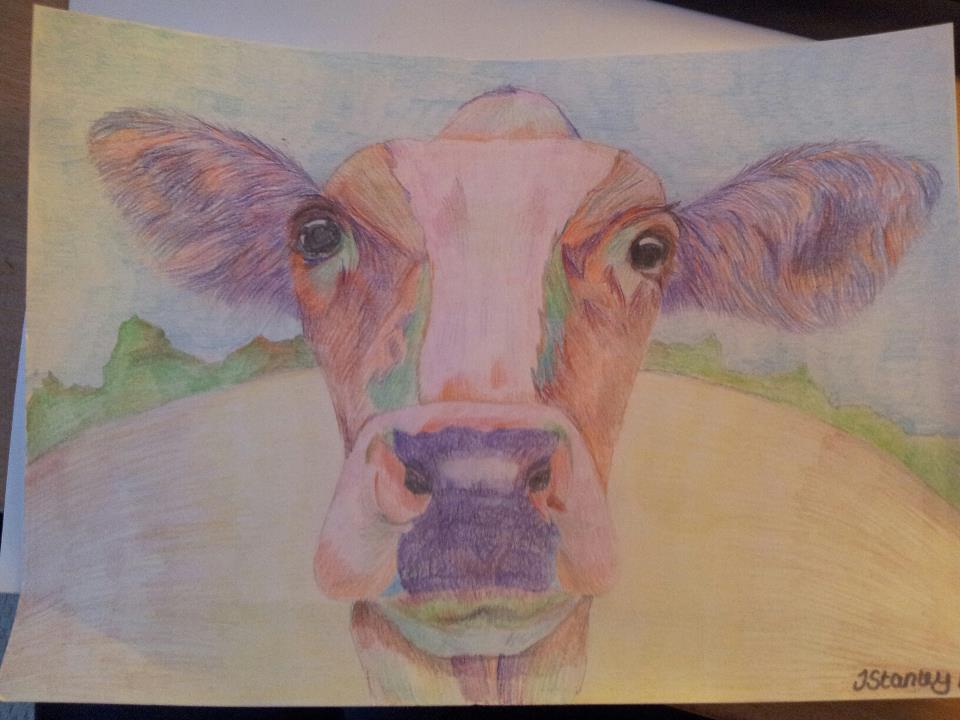 Cow 2012