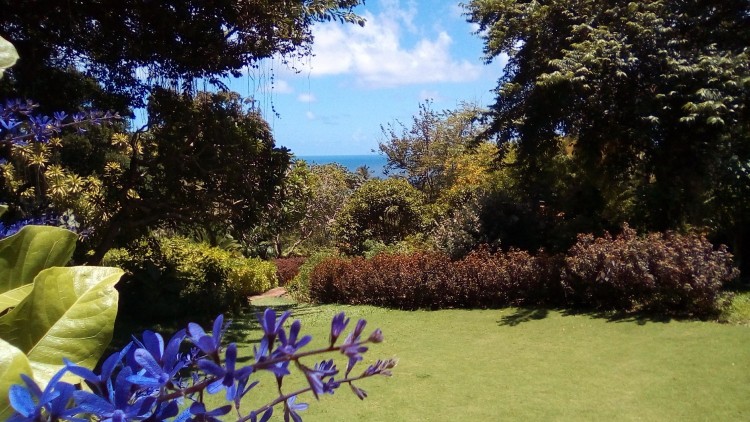 Andromeda Gardens Barbados Homepage