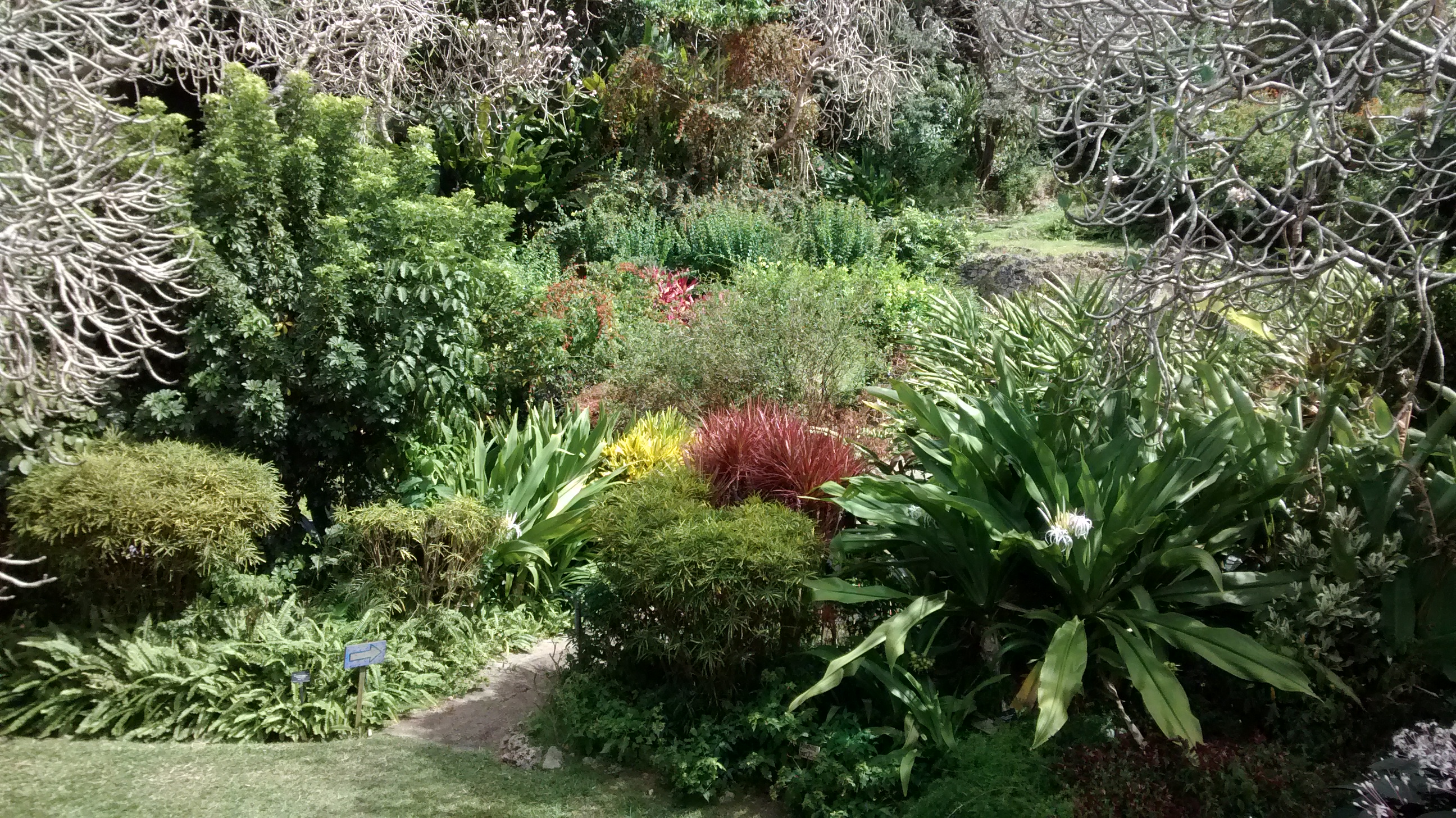 Andromeda Botanic Gardens Barbados Contact