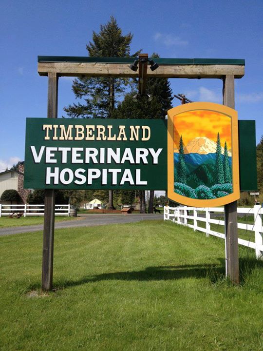 Timberland veterinary sale hospital