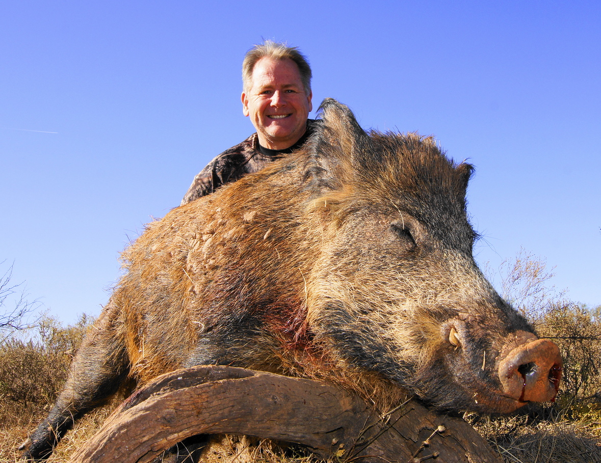 Hunting Texas Hogs